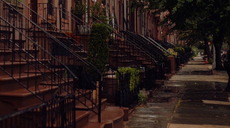 Brownstone stoops on a tree-lined Brooklyn street